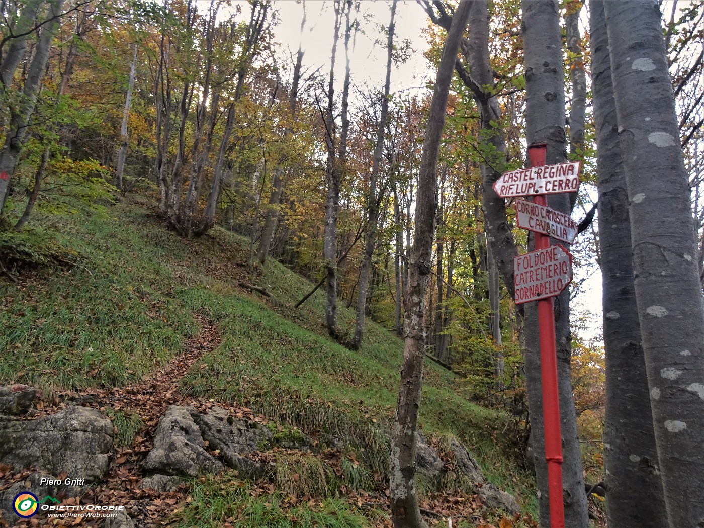 54 Al bivio scelgo a sx la variante ripida in 'verticale' per cima Castel Regina.JPG